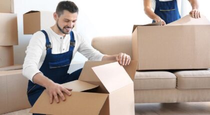 Packers And Movers Noida Sector 8